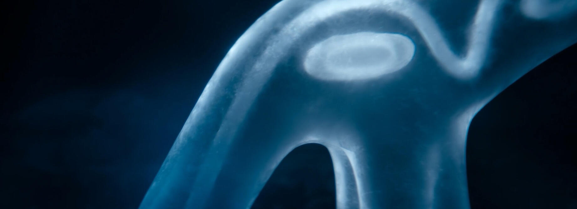 Anemone: Creature build adjustments, export to look development artist, 2025 Responsible for further development of displacement maps, and shapes of the face and organs, as per client and look dev team feedback.
